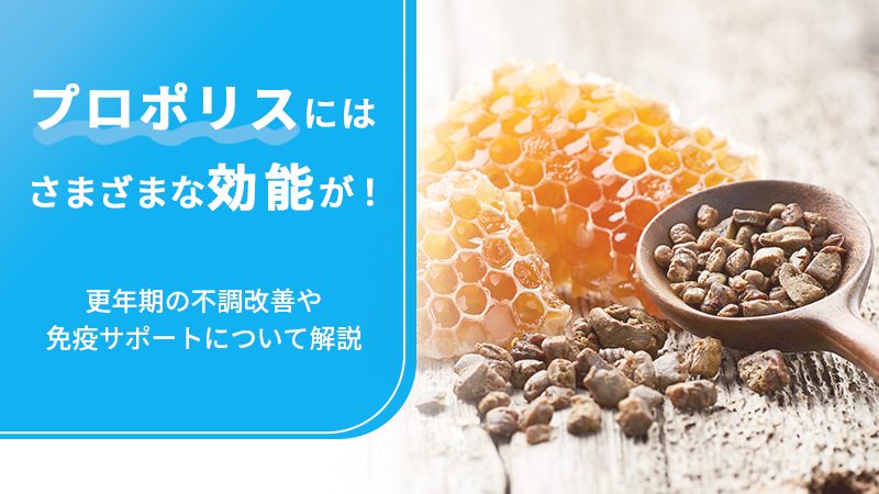 プロポリスにはさまざまな効能が！更年期の不調改善や免疫サポートについて解説の画像