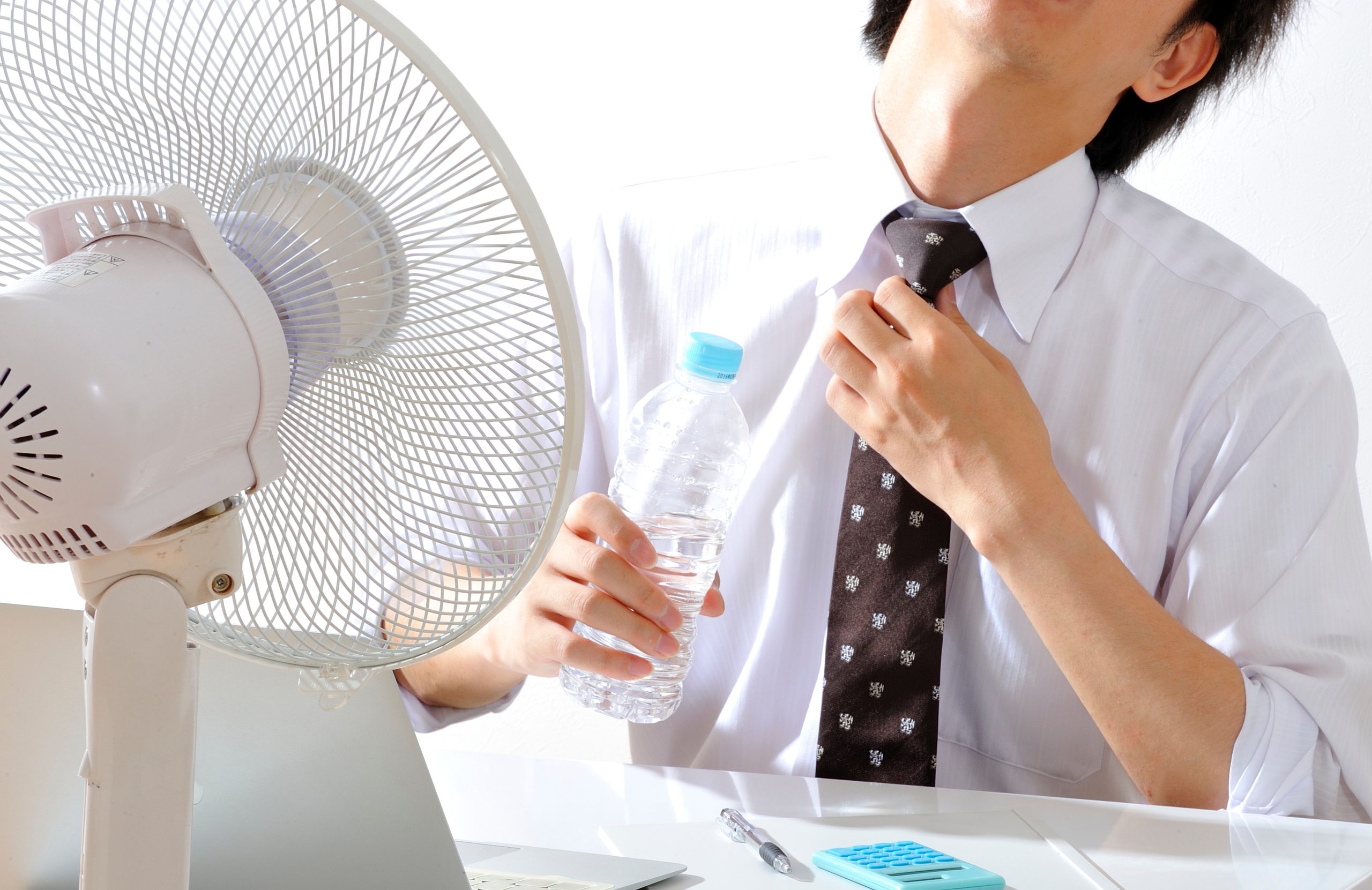 ともに生まれた、夏のコンディションサポートサプリの画像